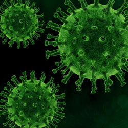 Coronavirus